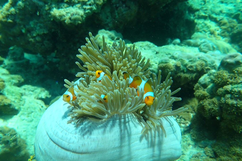 Best Day Trips from Khao Lak,&nbsp;Thailand